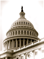 Senate Passes Relief Bill