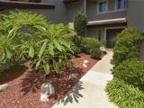 Front Walkway